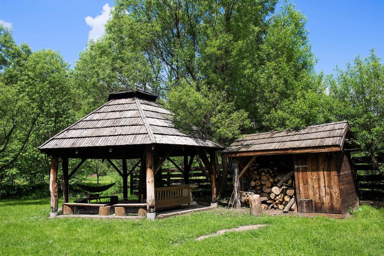 Zielony Ruczaj Чисна Екстериор снимка