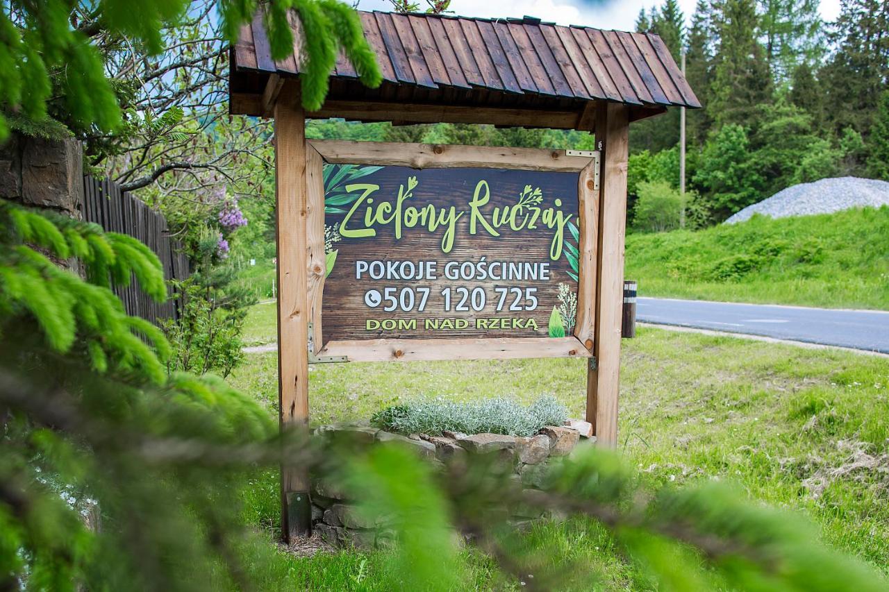 Zielony Ruczaj Чисна Екстериор снимка
